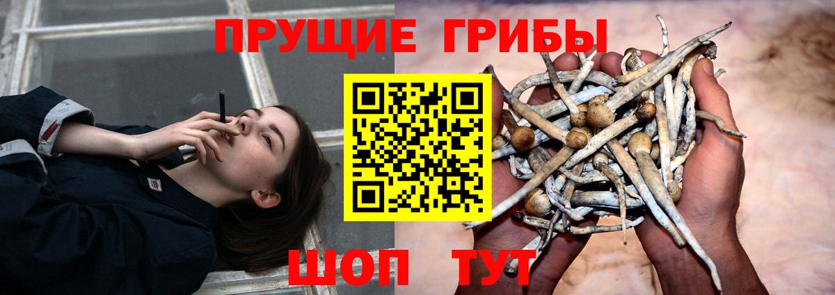 Псилоцибиновые грибы Magic Shrooms Тимашёвск