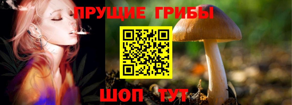 дарнет шоп  Галлюциногенные грибы Psilocybine cubensis  Псилоцибиновые грибы Magic Shrooms  Вход с VPN  Тимашёвск 