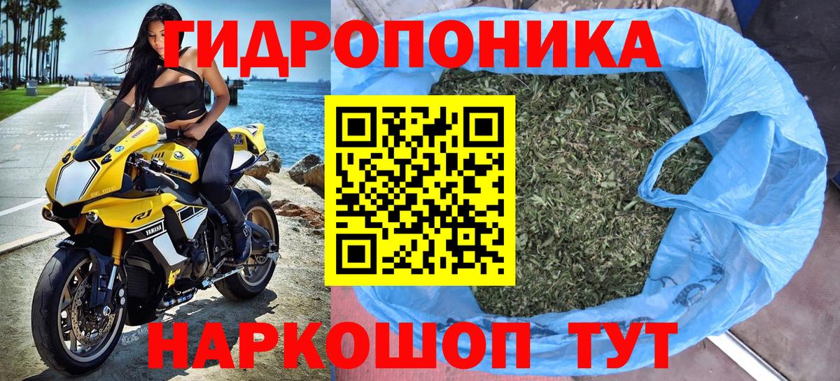 Канабис сатива Тимашёвск